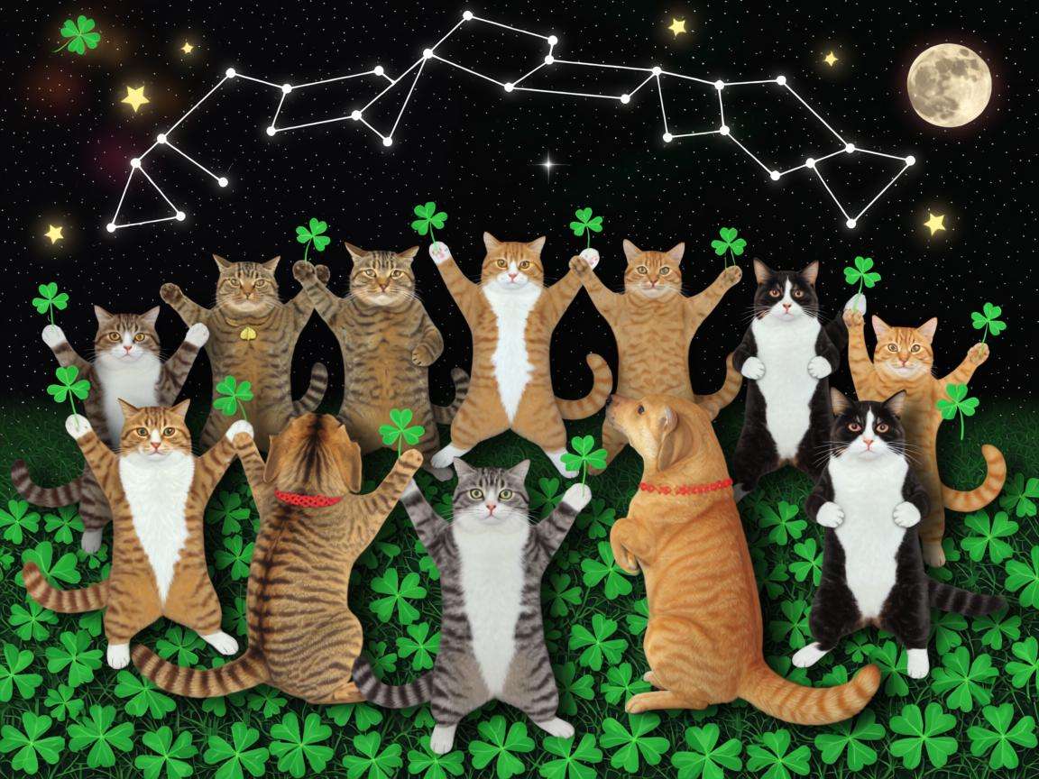 2026年虎狗精准分析13-25-36-41-48专家解析生活趣闻百科